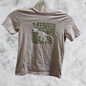 Pre Loved Boys 5T Garanimals Tan and Green Dinosaur T-Shirt